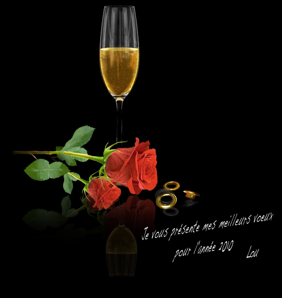 voeux2010.jpg