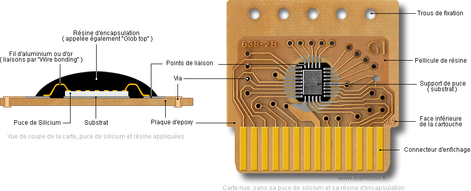 cob-detail.jpg